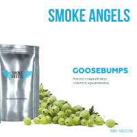    "Smoke Angels" (GOOSEBUMPS), 25 