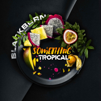 Black Burn - Something Tropical (  - ) 200 .