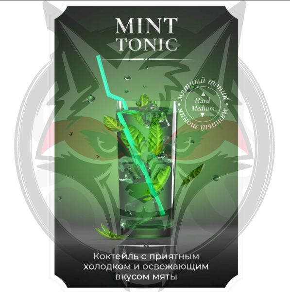 Жидкость Jean Nicot (Medium) - Mint Tonic (Мятный тоник )