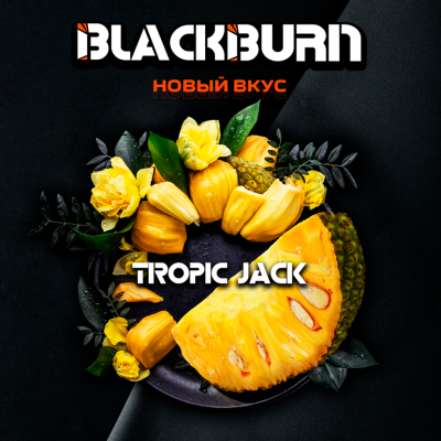 Табак для кальяна BlackBurn Tropic Jack (Джекфрут) 100 гр.