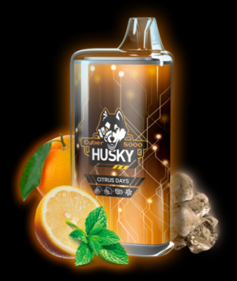 Husky Cyber 8000 Затяжек - Citrus Days