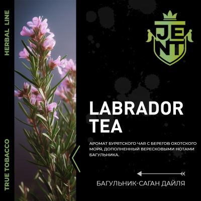 JENT Herbal - Багульник - саган дайля (Labrador tea), 30 гр.