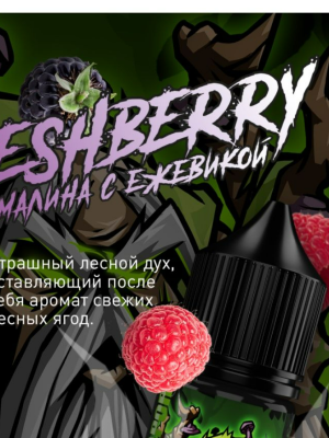 Жидкость MONSTERVAPOR 30 мл Leshberry (малина с ежевикой) 20 мг