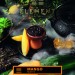Element Земля - Mango (Элемент Манго) 25гр.