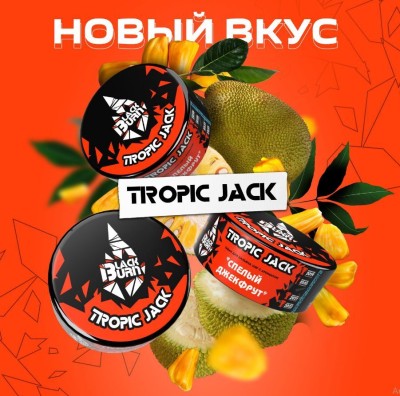 Табак для кальяна BlackBurn Tropic Jack (Джекфрут) 25 гр.