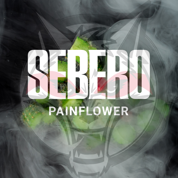 Sebero Painflower - Себеро Кактус 40 гр