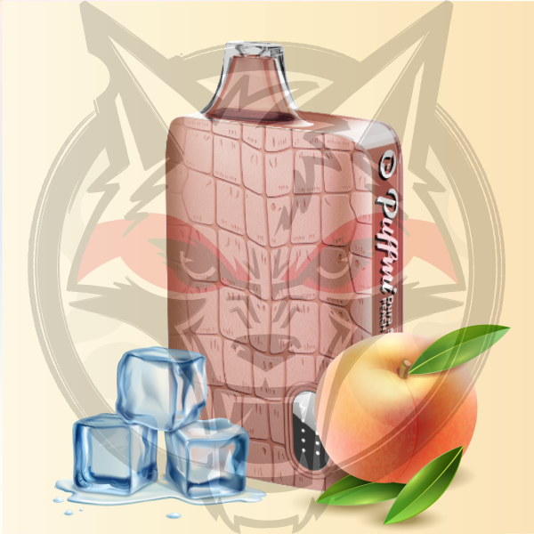PUFFMI 9000 - Peach ice
